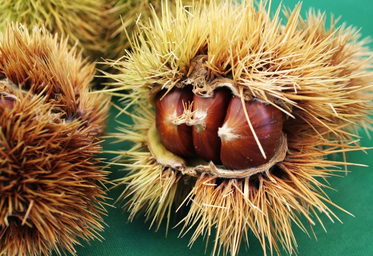 Le castagne tornano protagoniste: in forno pronte in 10 minuti, così porti l’autunno a tavola