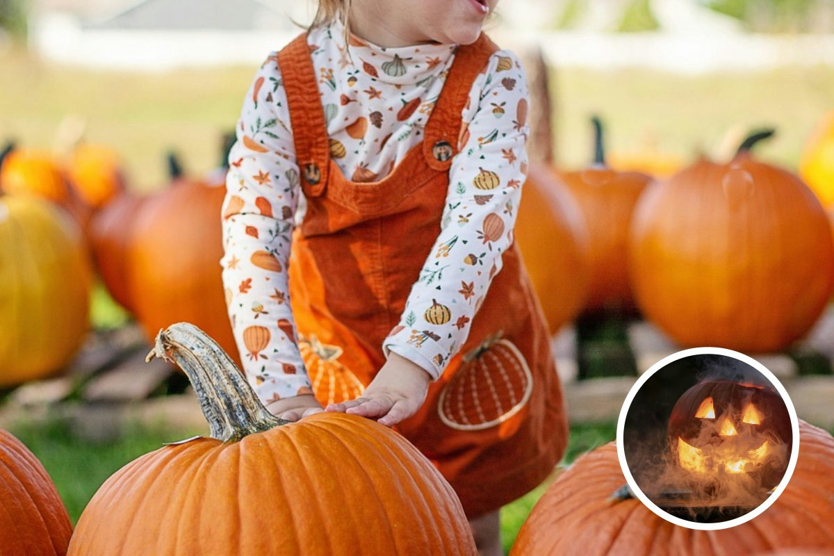 Lasci perdere la buccia della zucca? Il trucco dei ricettari la trasforma in risorsa per la salute