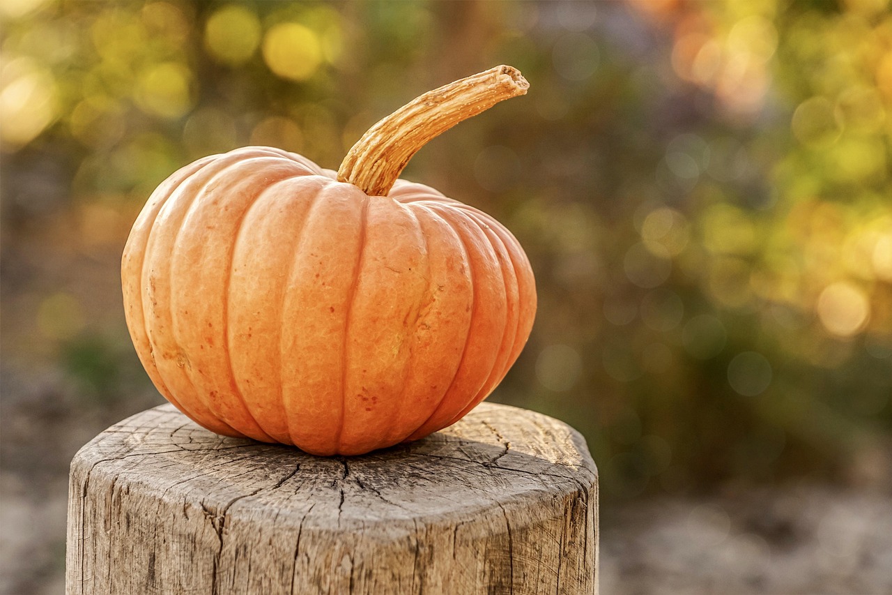 Quando la zucca incontra la sfoglia: 5 ricette autunnali pronte in pochi minuti per la tavola