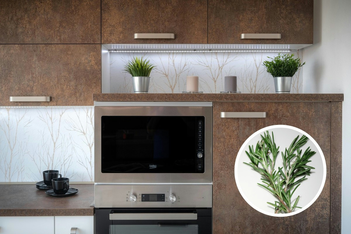 Rosmarino in forno a 180 gradi per 10 minuti: la casa si riempie di un profumo incredibile